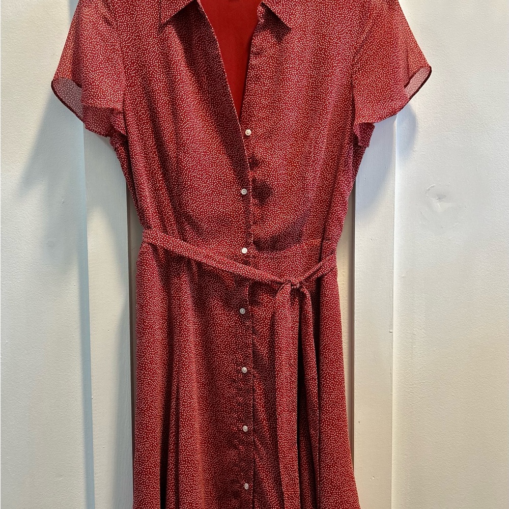 Super Cute Short Sleeve Shirt Dress